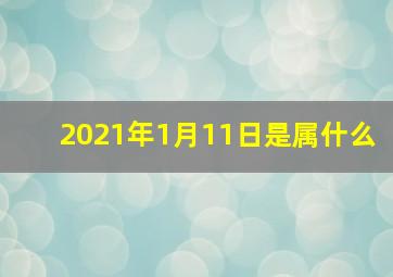 2021年1月11日是属什么