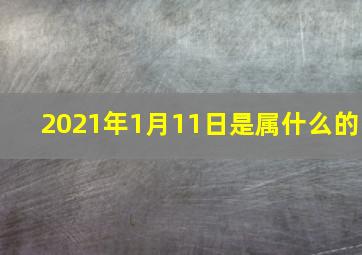 2021年1月11日是属什么的