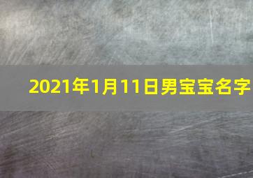 2021年1月11日男宝宝名字