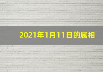 2021年1月11日的属相