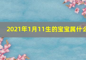 2021年1月11生的宝宝属什么