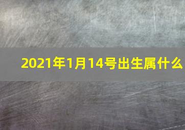 2021年1月14号出生属什么