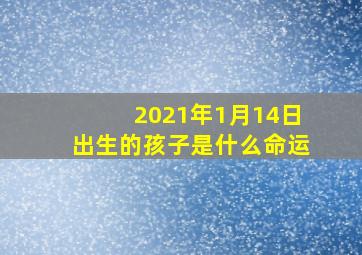 2021年1月14日出生的孩子是什么命运