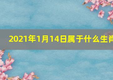 2021年1月14日属于什么生肖