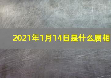 2021年1月14日是什么属相