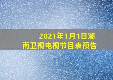 2021年1月1日湖南卫视电视节目表预告