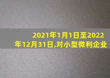 2021年1月1日至2022年12月31日,对小型微利企业