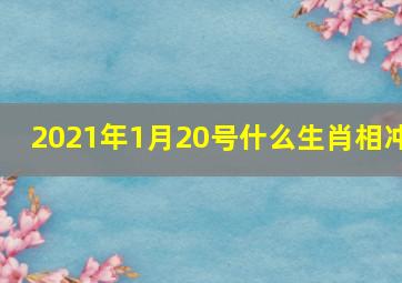 2021年1月20号什么生肖相冲