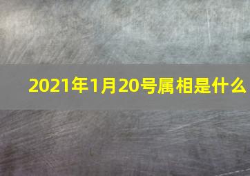 2021年1月20号属相是什么