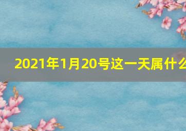 2021年1月20号这一天属什么