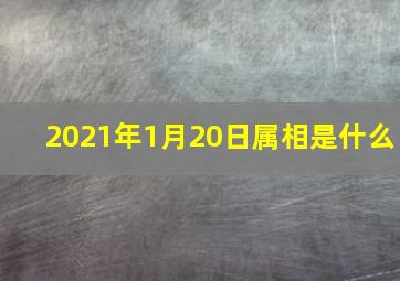 2021年1月20日属相是什么