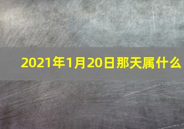 2021年1月20日那天属什么