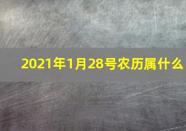 2021年1月28号农历属什么