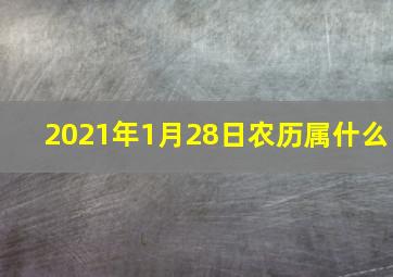 2021年1月28日农历属什么