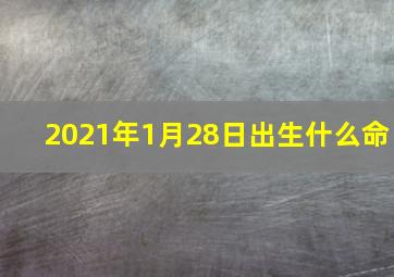 2021年1月28日出生什么命