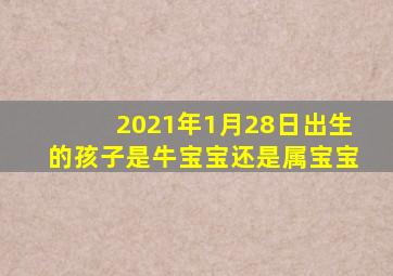 2021年1月28日出生的孩子是牛宝宝还是属宝宝