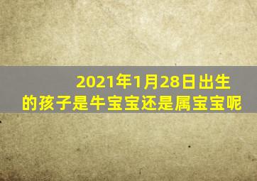 2021年1月28日出生的孩子是牛宝宝还是属宝宝呢