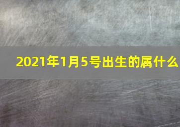 2021年1月5号出生的属什么