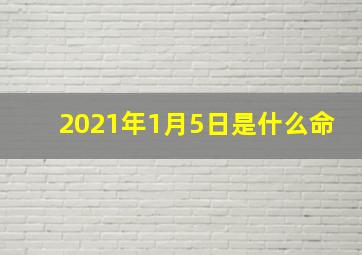 2021年1月5日是什么命