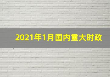 2021年1月国内重大时政