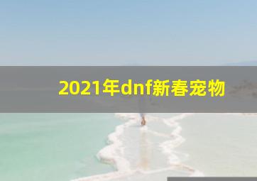 2021年dnf新春宠物