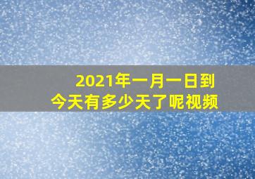 2021年一月一日到今天有多少天了呢视频