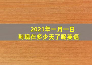 2021年一月一日到现在多少天了呢英语