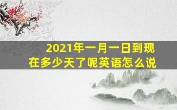 2021年一月一日到现在多少天了呢英语怎么说