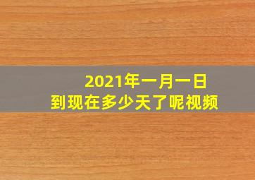 2021年一月一日到现在多少天了呢视频