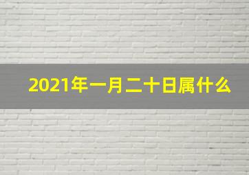 2021年一月二十日属什么