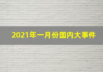 2021年一月份国内大事件