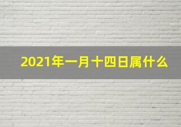 2021年一月十四日属什么