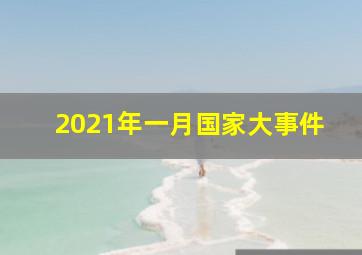 2021年一月国家大事件