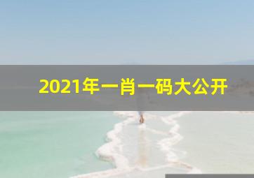 2021年一肖一码大公开