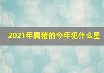 2021年属猪的今年犯什么星