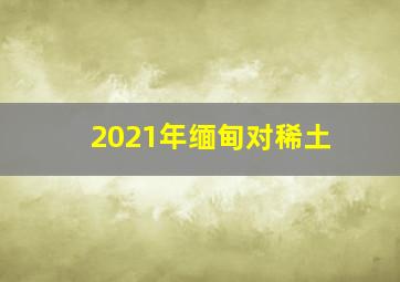 2021年缅甸对稀土