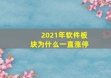 2021年软件板块为什么一直涨停