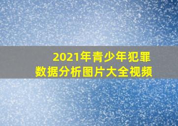 2021年青少年犯罪数据分析图片大全视频