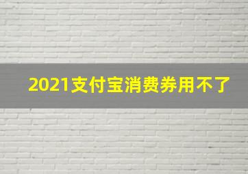 2021支付宝消费券用不了