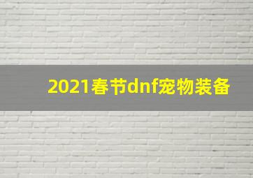 2021春节dnf宠物装备