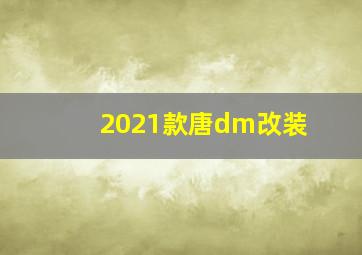 2021款唐dm改装