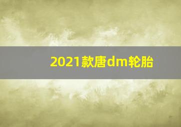 2021款唐dm轮胎