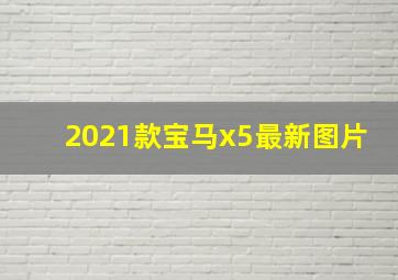 2021款宝马x5最新图片