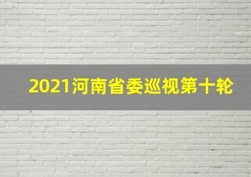 2021河南省委巡视第十轮