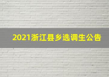 2021浙江县乡选调生公告