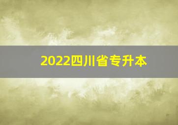 2022四川省专升本