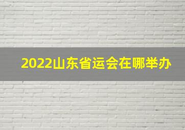 2022山东省运会在哪举办