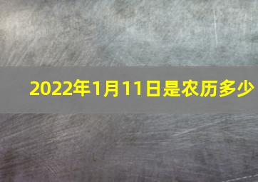 2022年1月11日是农历多少