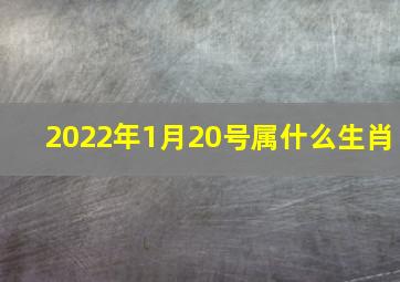 2022年1月20号属什么生肖