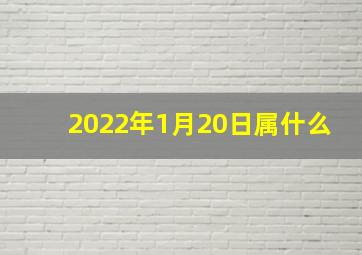 2022年1月20日属什么